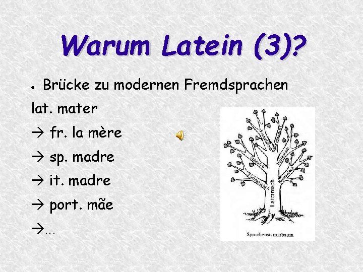 Warum Latein (3)? ● Brücke zu modernen Fremdsprachen lat. mater fr. la mère sp.