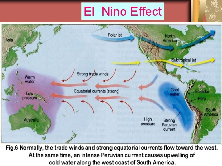 El Nino Effect 