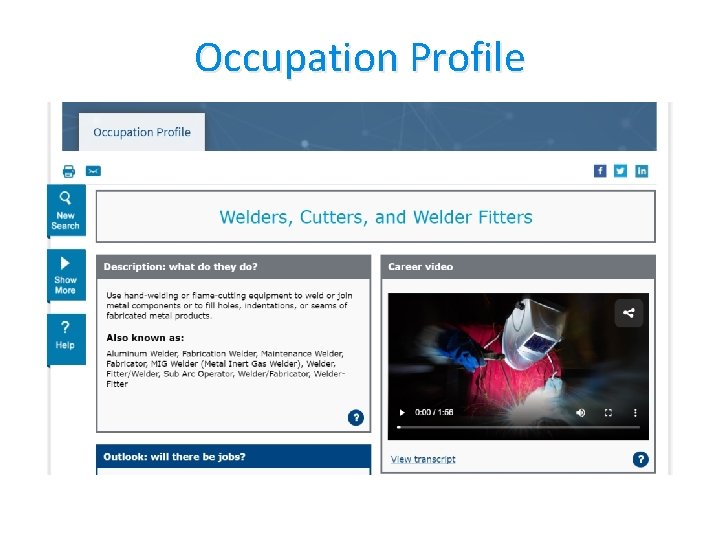 Occupation Profile 