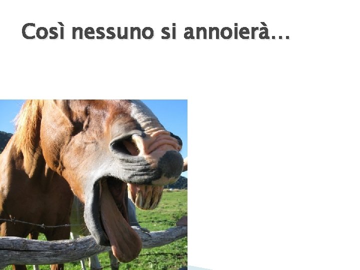 Così nessuno si annoierà… 