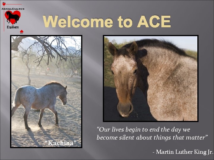 Welcome to ACE “Kachina” “Our lives begin to end the day we become silent