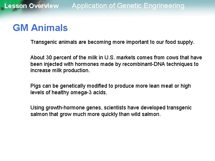 Lesson Overview Application of Genetic Engrineering GM Animals Transgenic animals are becoming more important