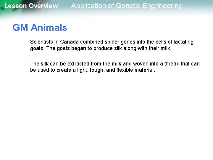 Lesson Overview Application of Genetic Engrineering GM Animals Scientists in Canada combined spider genes