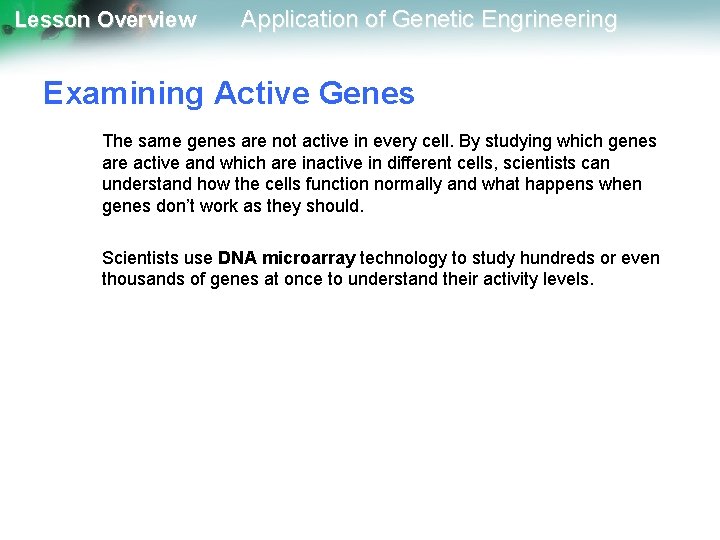 Lesson Overview Application of Genetic Engrineering Examining Active Genes The same genes are not