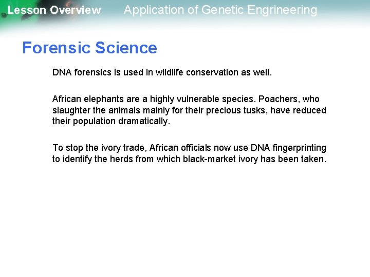 Lesson Overview Application of Genetic Engrineering Forensic Science DNA forensics is used in wildlife