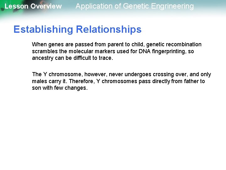 Lesson Overview Application of Genetic Engrineering Establishing Relationships When genes are passed from parent
