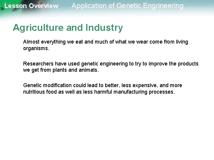 Lesson Overview Application of Genetic Engrineering Agriculture and Industry Almost everything we eat and