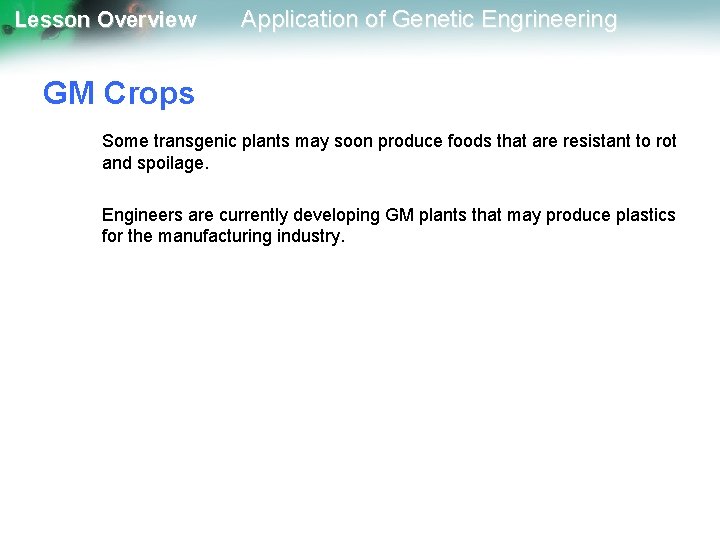 Lesson Overview Application of Genetic Engrineering GM Crops Some transgenic plants may soon produce