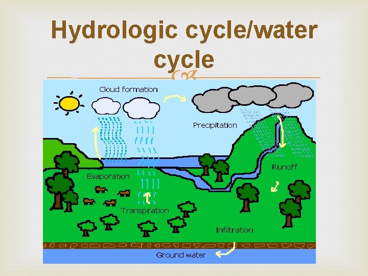 Hydrologic cycle/water cycle 