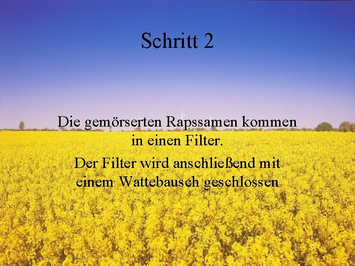 Schritt 2 Die gemörserten Rapssamen kommen in einen Filter. Der Filter wird anschließend mit