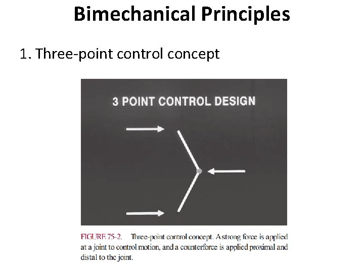 Bimechanical Principles 1. Three-point control concept 