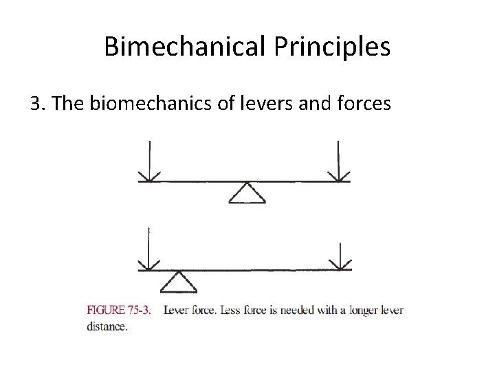 Bimechanical Principles 3. The biomechanics of levers and forces 