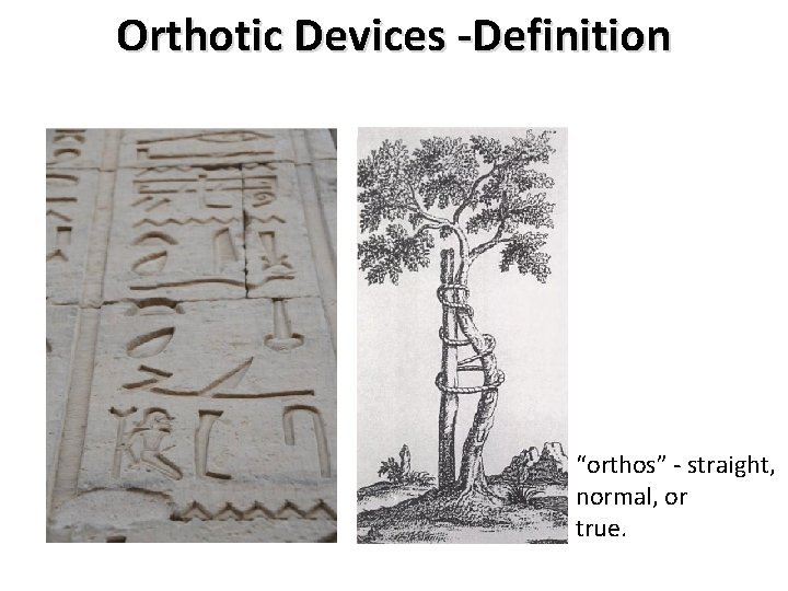 Orthotic Devices -Definition “orthos” - straight, normal, or true. 