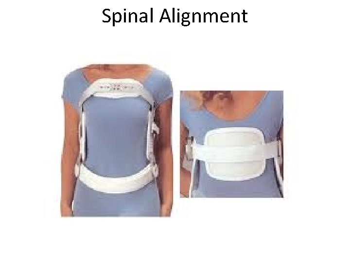 Spinal Alignment 