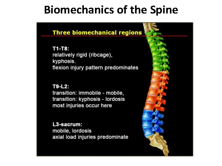 Biomechanics of the Spine 