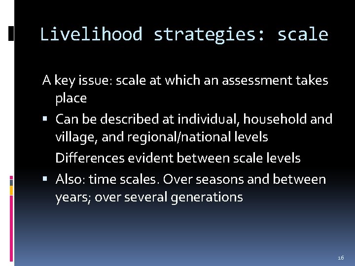 Livelihood strategies: scale A key issue: scale at which an assessment takes place Can