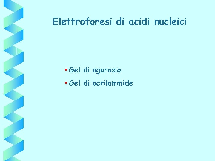 Elettroforesi di acidi nucleici • Gel di agarosio • Gel di acrilammide 