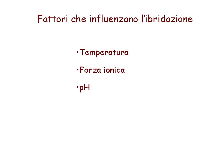 Fattori che influenzano l’ibridazione • Temperatura • Forza ionica • p. H 