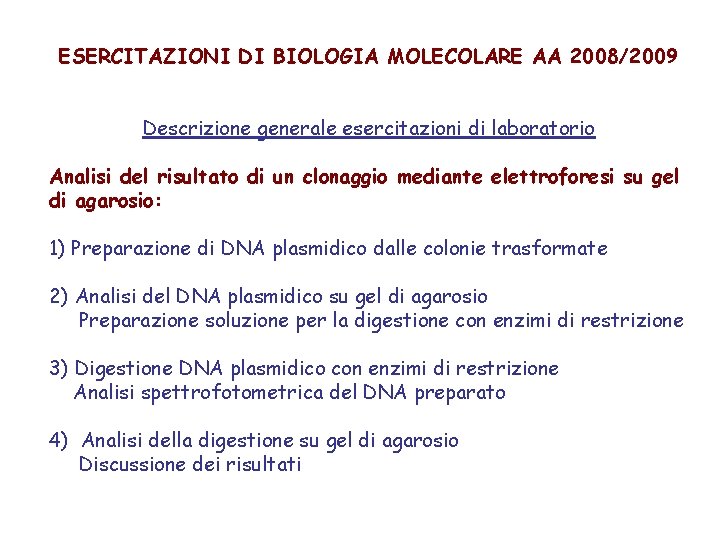 ESERCITAZIONI DI BIOLOGIA MOLECOLARE AA 2008/2009 Descrizione generale esercitazioni di laboratorio Analisi del risultato