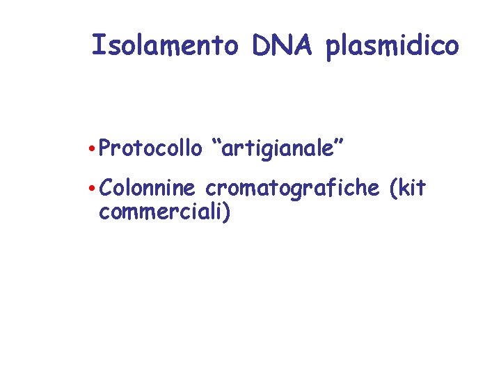 Isolamento DNA plasmidico • Protocollo “artigianale” • Colonnine cromatografiche (kit commerciali) 