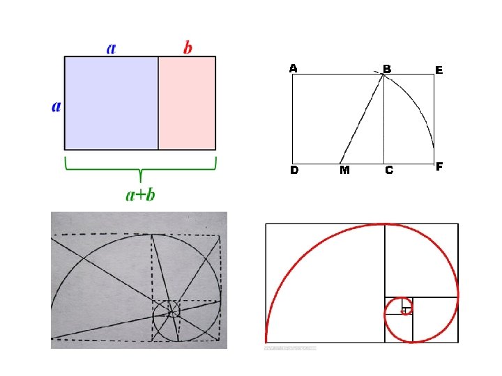 Chapitre V Echelle et proportions Echelle et proportion
