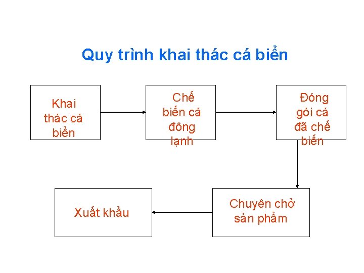 Quy trình khai thác cá biển Khai thác cá biển Xuất khẩu Chế biến