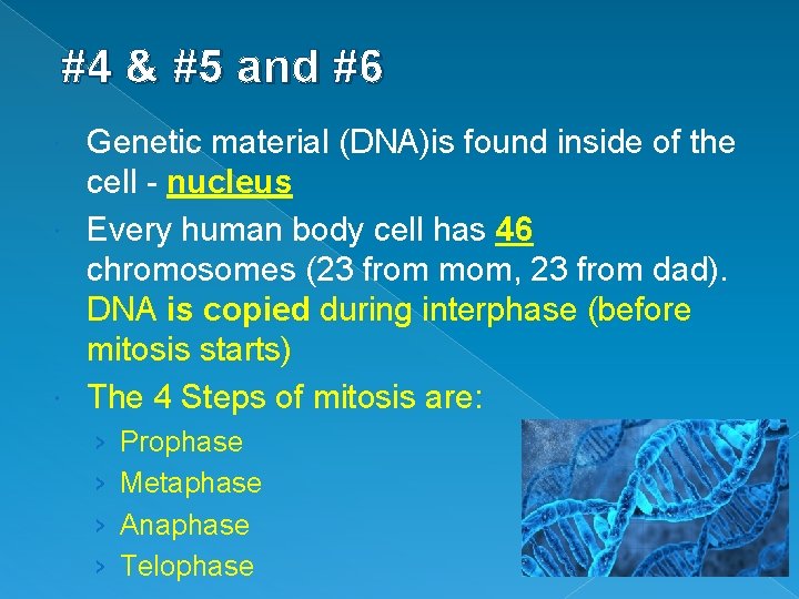 #4 & #5 and #6 Genetic material (DNA)is found inside of the cell -