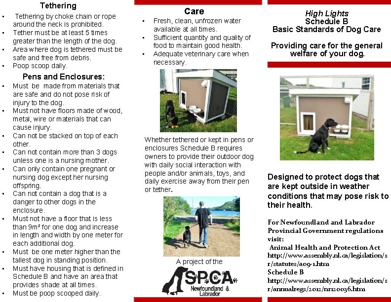 Tethering • • Tethering by choke chain or rope around the neck is prohibited.