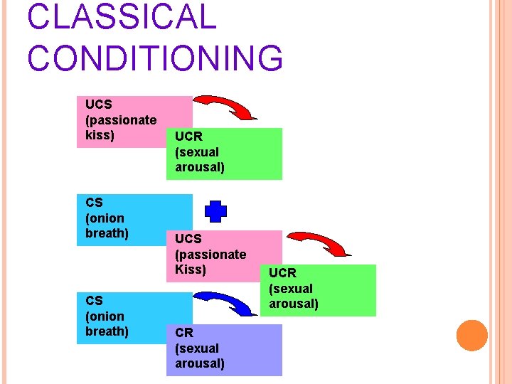 CLASSICAL CONDITIONING UCS (passionate kiss) CS (onion breath) UCR (sexual arousal) UCS (passionate Kiss)