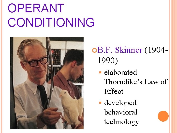 OPERANT CONDITIONING B. F. Skinner (19041990) elaborated Thorndike’s Law of Effect § developed behavioral