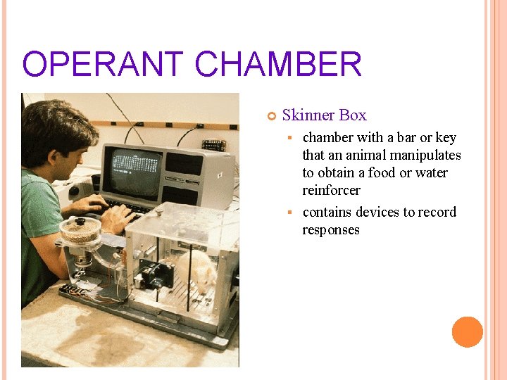 OPERANT CHAMBER Skinner Box chamber with a bar or key that an animal manipulates