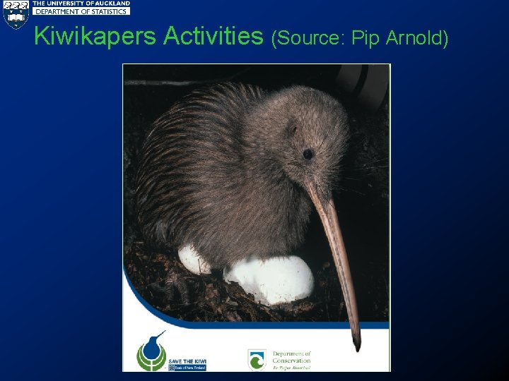 Kiwikapers Activities (Source: Pip Arnold) 