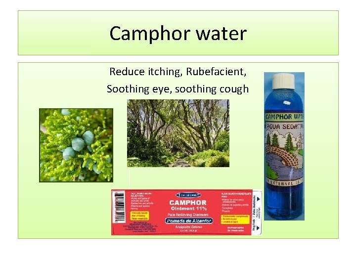 Camphor water Reduce itching, Rubefacient, Soothing eye, soothing cough 