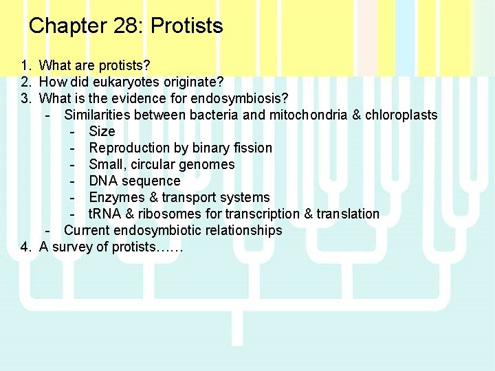 Chapter 28: Protists 1. What are protists? 2. How did eukaryotes originate? 3. What