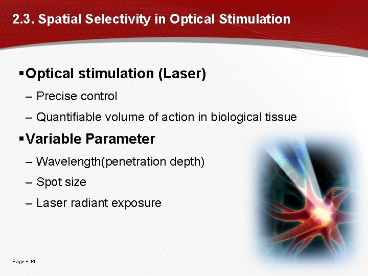 2. 3. Spatial Selectivity in Optical Stimulation Optical stimulation (Laser) – Precise control –