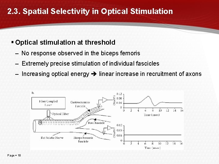 2. 3. Spatial Selectivity in Optical Stimulation Optical stimulation at threshold – No response