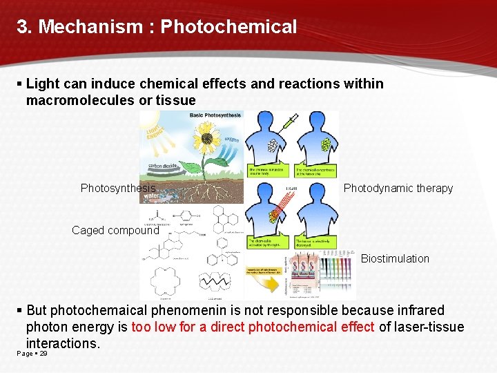 3. Mechanism : Photochemical Light can induce chemical effects and reactions within macromolecules or