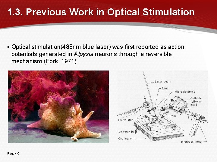 1. 3. Previous Work in Optical Stimulation Optical stimulation(488 nm blue laser) was first