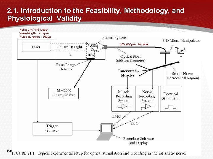 2. 1. Introduction to the Feasibility, Methodology, and Physiological Validity Holmium: YAG Laser Wavelength