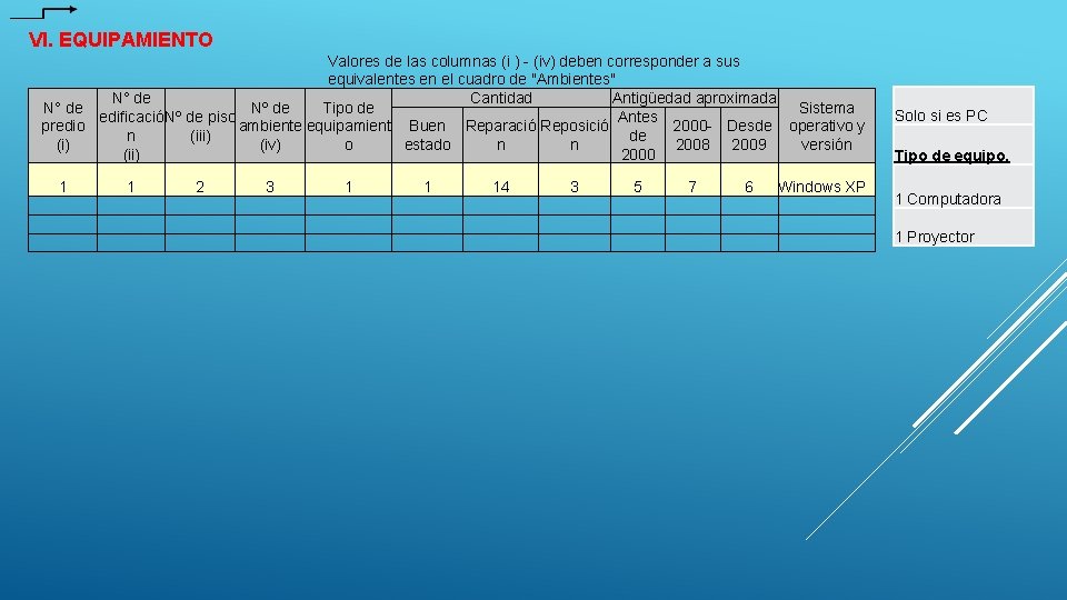 VI. EQUIPAMIENTO Valores de las columnas (i ) - (iv) deben corresponder a sus