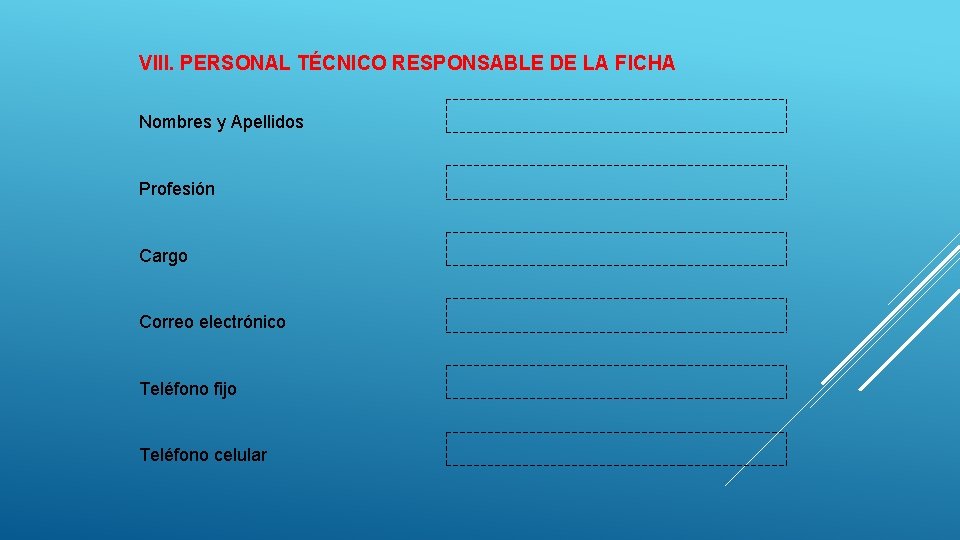 VIII. PERSONAL TÉCNICO RESPONSABLE DE LA FICHA Nombres y Apellidos Profesión Cargo Correo electrónico