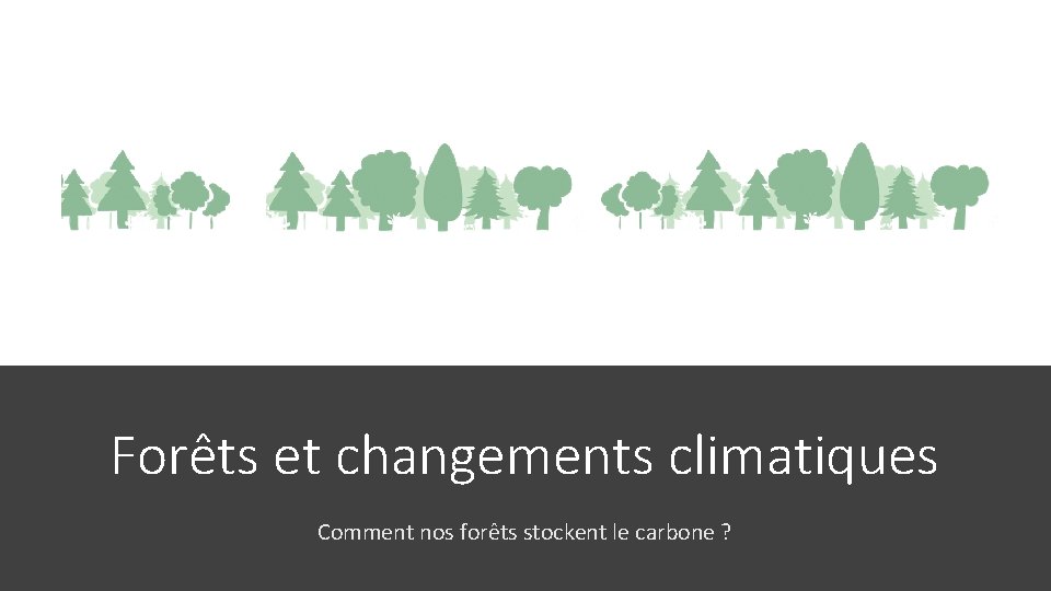Forêts et changements climatiques Comment nos forêts stockent le carbone ? 