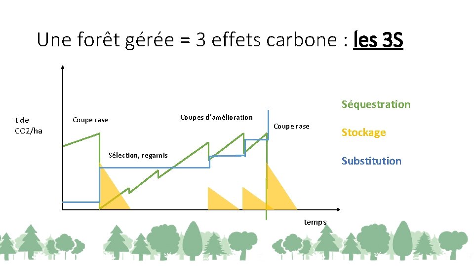 Une forêt gérée = 3 effets carbone : les 3 S Séquestration t de