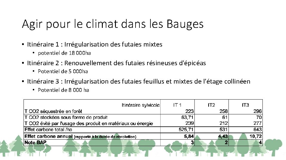 Agir pour le climat dans les Bauges • Itinéraire 1 : Irrégularisation des futaies