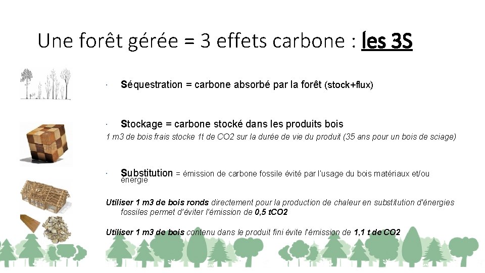 Une forêt gérée = 3 effets carbone : les 3 S Séquestration = carbone