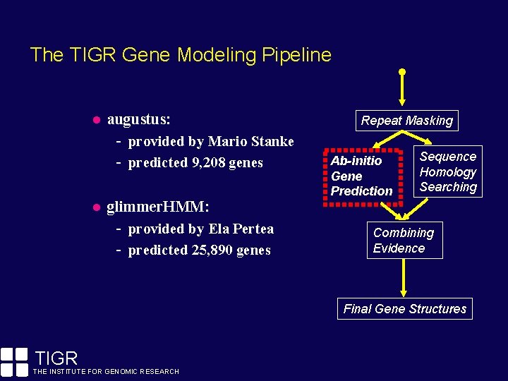 The TIGR Gene Modeling Pipeline augustus: - provided by Mario Stanke - predicted 9,