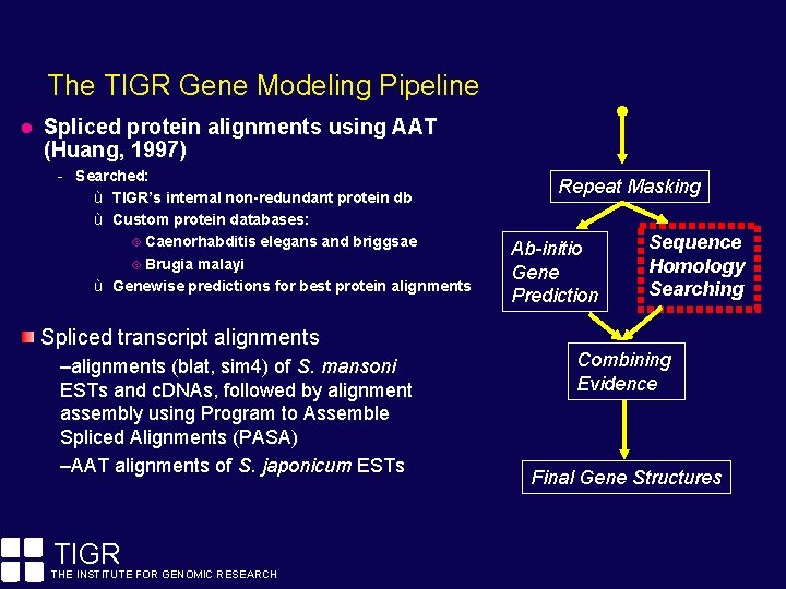 The TIGR Gene Modeling Pipeline Spliced protein alignments using AAT (Huang, 1997) - Searched: