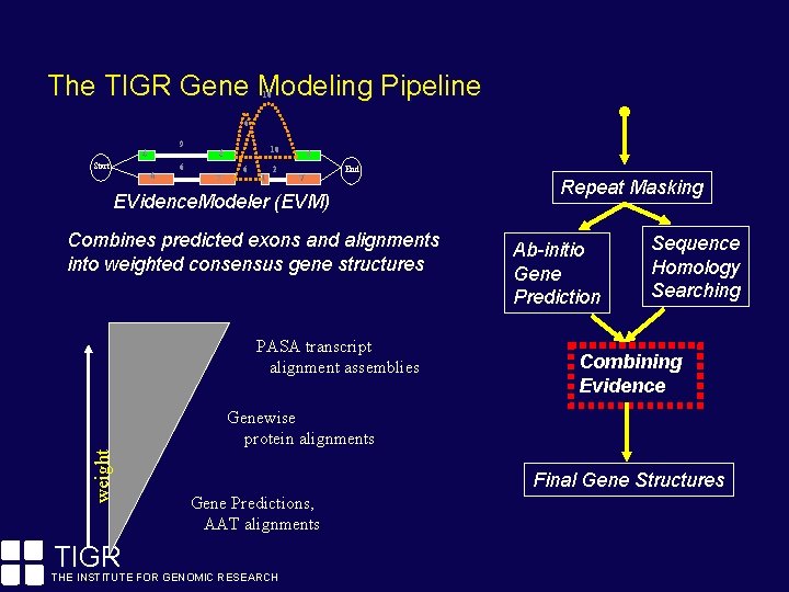 The TIGR Gene Modeling Pipeline 10 6 9 4 Start 6 10 6 6