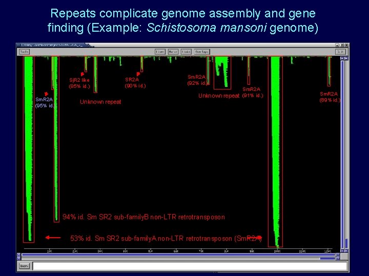 Repeats complicate genome assembly and gene finding (Example: Schistosoma mansoni genome) Sj. R 2