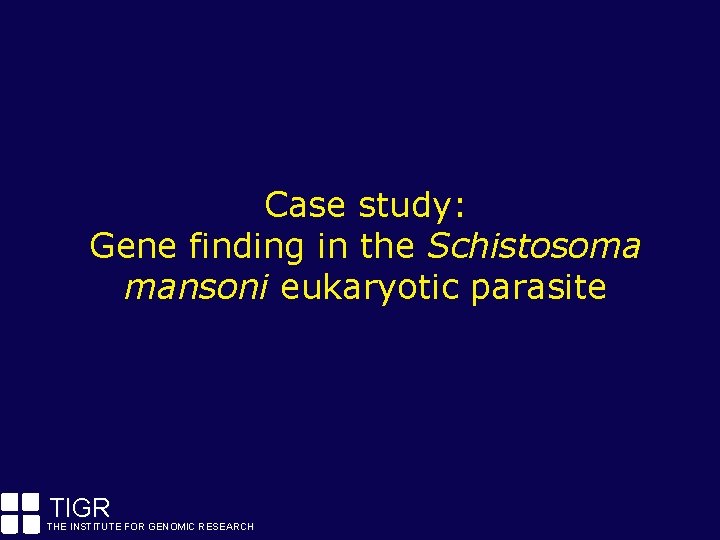 Case study: Gene finding in the Schistosoma mansoni eukaryotic parasite TIGR THE INSTITUTE FOR